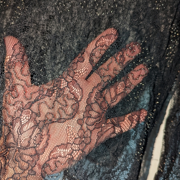 Zara lace top - Picture 3 of 4